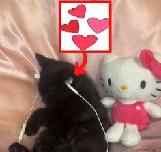 a black cat laying on top of a pink blanket next to a stuffed animal with hearts drawn on it