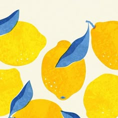 a group of yellow lemons with blue leaves on the top and bottom, against a white background