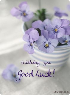 purple pansies in a white and blue striped vase with the words wishing you good luck