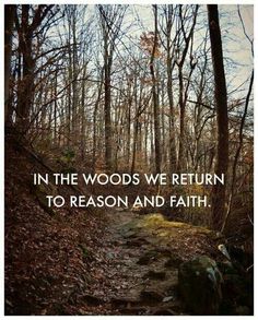 a path in the woods that says, in the woods we return to reason and faith