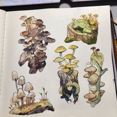 an open book with drawings of mushrooms on it