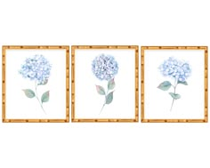 three framed pictures with blue flowers on them