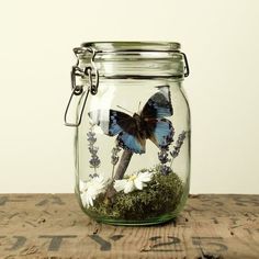 a glass jar filled with flowers and a butterfly sitting on top of the inside of it