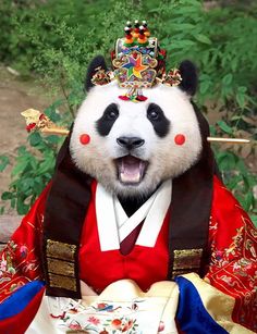 a panda bear dressed up like a king