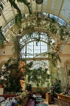 the inside of a building with plants hanging from it's ceiling