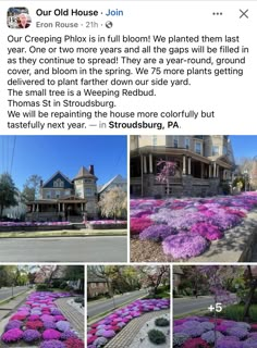 several photos of flowers in front of a house and on the other side is an article about how to plant them