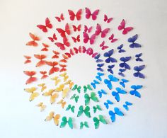 colorful butterflies arranged in the shape of a circle