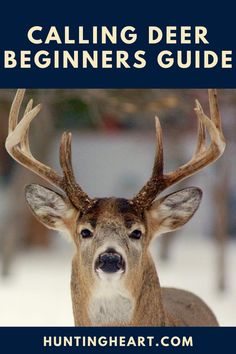 a deer with antlers on it's head and the words calling deer beginners guide