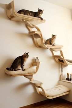 two cats sitting on top of wooden shelves