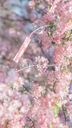 the bubbles are floating in the air on the tree's branches with pink flowers