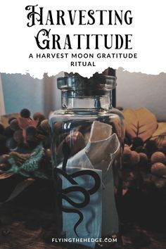 Harvesting Gratitude: Harvest Moon Gratitude Ritual Gratitude Ritual, Gratitude Jar, Next Full Moon, Being Grateful, Attracting Abundance, Full Moon Ritual, Eclectic Witch