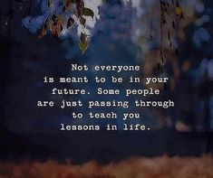 a quote from the book not everyone is meant to be in your future some people are just passing through to teach you lessons in life