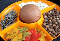 a yellow plate topped with lots of different types of fall leaves and nuts on top of it