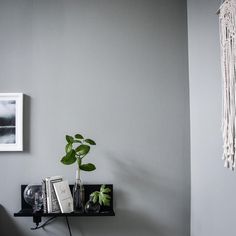 a shelf with books and plants on it in a room that is painted gray,