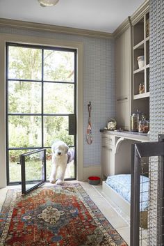 a white dog standing on top of a rug in front of a door with a window