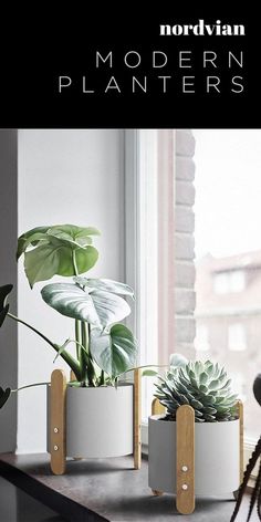 three planters with plants in them sitting on a window sill