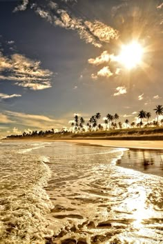 the sun shines brightly in front of palm trees and water at the beach on a sunny day