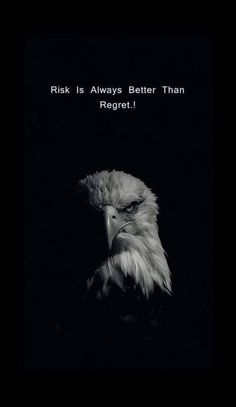 an eagle with the caption'risk is always better than regred '