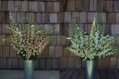 two metal vases with flowers in front of a wooden wall