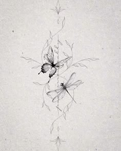 a drawing of two butterflies on top of each other