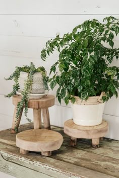 a potted plant sitting on top of a wooden table next to two stools