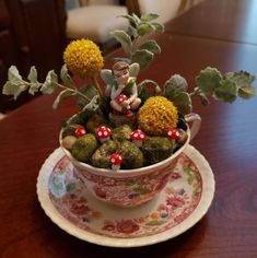 a cup filled with plants and mushrooms on top of a wooden table next to a plate