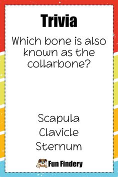 trivia which bone is also known as the collabone?