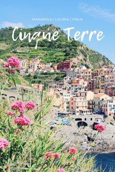 the town of cinque terre with flowers in front of it and text overlay