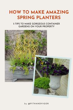 the cover of how to make amazing spring planters, with pictures of flowers and plants