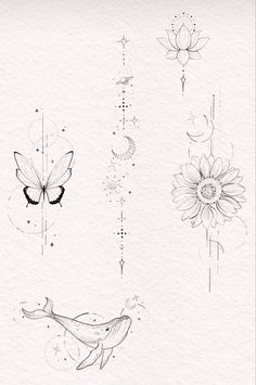 some flowers and butterflies are drawn on paper