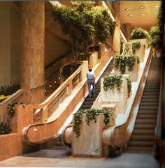 an escalator in a building with plants growing on it