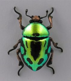 a green and black beetle sitting on top of a white wall