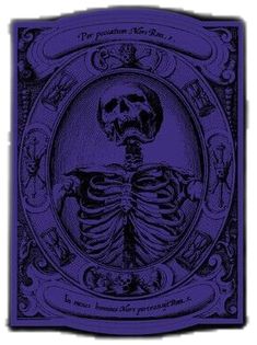 a blue book cover with a skeleton on it