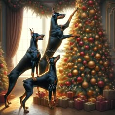 three dobermans standing in front of a christmas tree