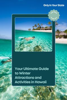 the ultimate guide to winter attractions and activities in hawaii