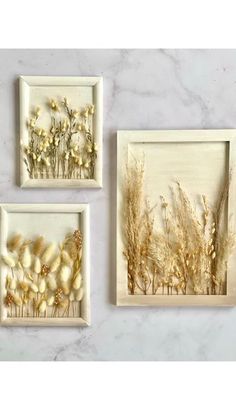 three framed pictures with dried flowers in them on a marble countertop, one is white and the other is gold