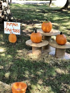 pumpkins sitting on top of wooden stumps in the grass next to a sign that says pumpkin ring toss