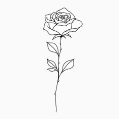 a black and white drawing of a rose