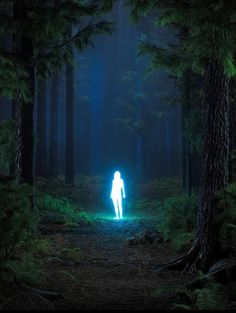 a person standing in the middle of a forest with blue light coming from their body