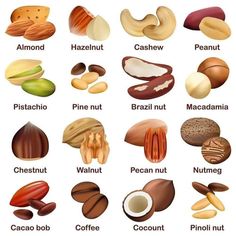 an image of nuts and their names