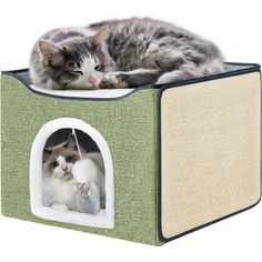 a cat laying on top of a green and beige pet house with a white kitten inside