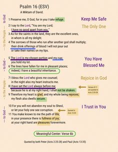 an image of the text from bibles on paper with green and purple lettering,