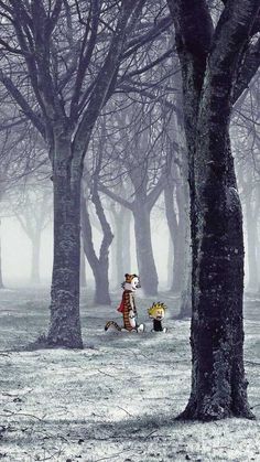 two cats are walking through the woods in the foggy weather, with one cat looking at another