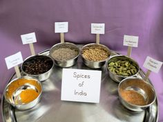 an assortment of spices on a metal tray with labels in front of them that read spices of india