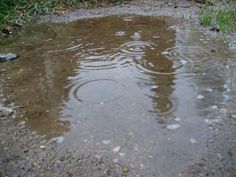 a puddle that has some water in it