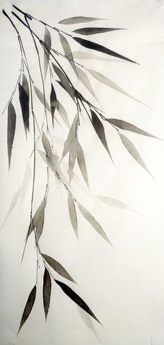 an ink drawing of bamboo leaves on a white background