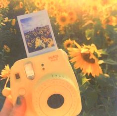 a person holding up a camera with sunflowers in the background