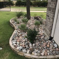 a rock garden bed in front of a house with grass and rocks around it, next to a tree