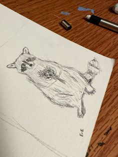 a pencil drawing of a bear on top of a piece of paper