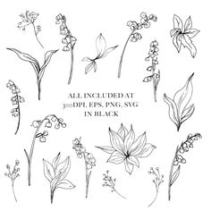 an image of flowers and plants with the words, all included at your fingertipss png